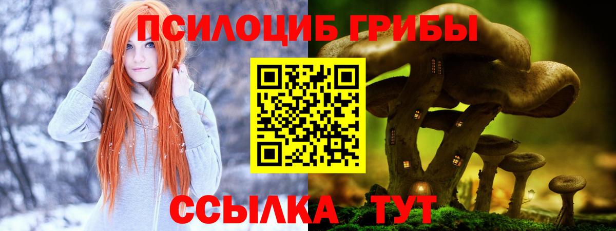 Галлюциногенные грибы MAGIC MUSHROOMS  Вход с VPN  Прохладный 