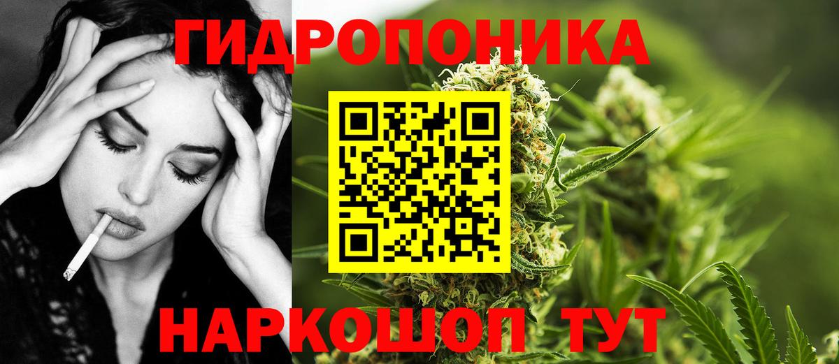 Бошки марихуана SATIVA & INDICA  Вход с VPN  Марихуана OG Kush  Прохладный  Конопля конопля  Бошки Шишки конопля 